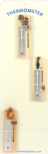 Themometer Display